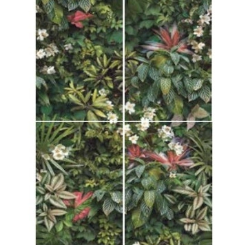Decor Forest B Nat.Rect. 60/120