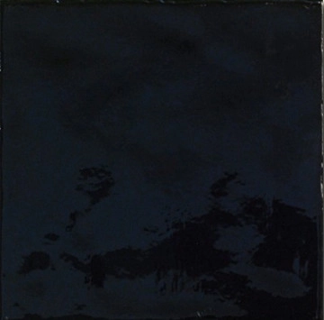 Patine Negro Brillo 15/15 1кач.