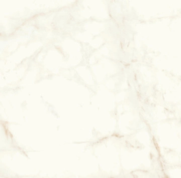 Marvel Shine Calacatta Delicato Polished Rect.120/120