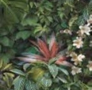 Decor Forest B Nat.Rect. 60/120