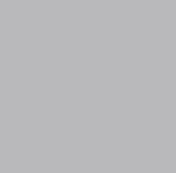 Colors Gris Mate Matt 20/20