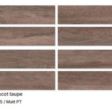 Аскот Таупе Мат 9915 15.5/60.5 KAI GROUP