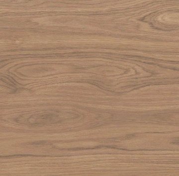 Тилия Карамел Мат Rect. 3697 60/120 KAI GROUP