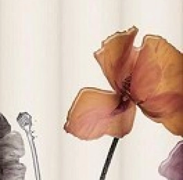 Decor Poppy A 25/75