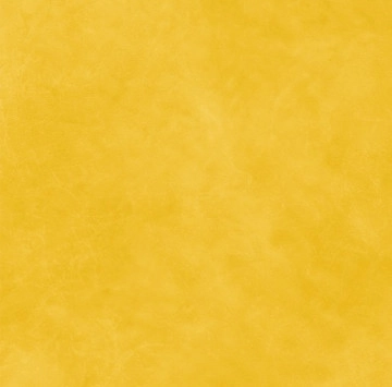 Decor Korium Colourful Yellow Logo Naturale Rett. 120/280