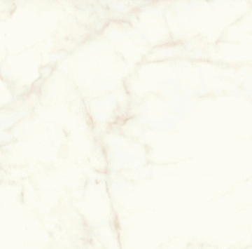 Marvel Shine Calacatta Delicato Polished Rect.120/120