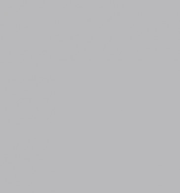 Colors Gris Mate Matt 20/20