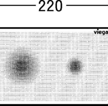 Бутон Viega Visign for More 205 Sensitive черен