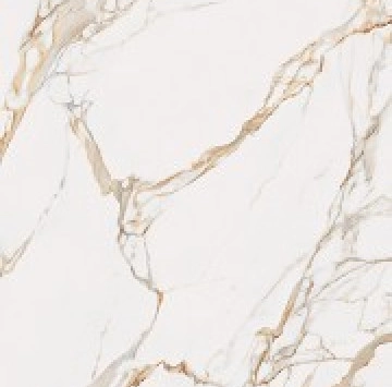 Calacatta Gold Luc. Rett. 120/280
