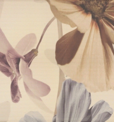 Decor Infinity Crema Flor 2 32.5/60