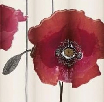 Decor Poppy B 25/75