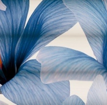 Decor Vega Aqua B 25/75