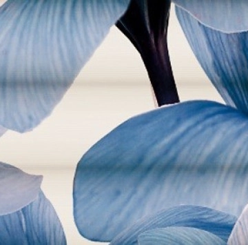 Decor Vega Aqua A 25/75