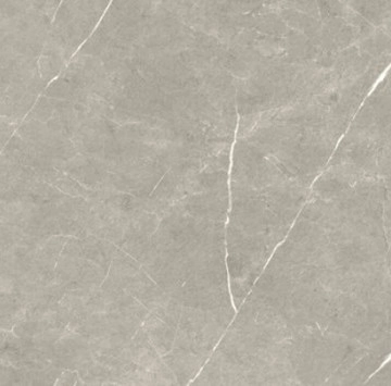 Eternal Taupe Brillo Pulido Rect. 60/120