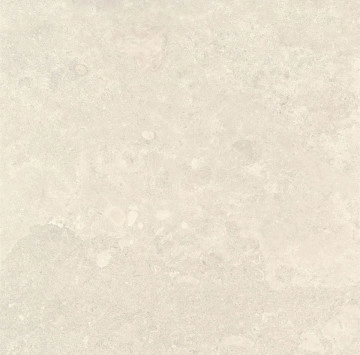 Trevi Beige Matt Rect. 59.6/59.6